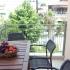 Kripis Studio Pefkohori - 50m from the sea - Private parking, One-Bedroom Apartment (4 Adults), ενοικιαζόμενα δωμάτια στο μέρος Pefkohori, Greece - DSCN4415