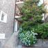 Villa Contessa, Aпартамент 5, частни квартири в града Budva, Черна Гора - 17554284_310621672686923_7344020256625087612_n