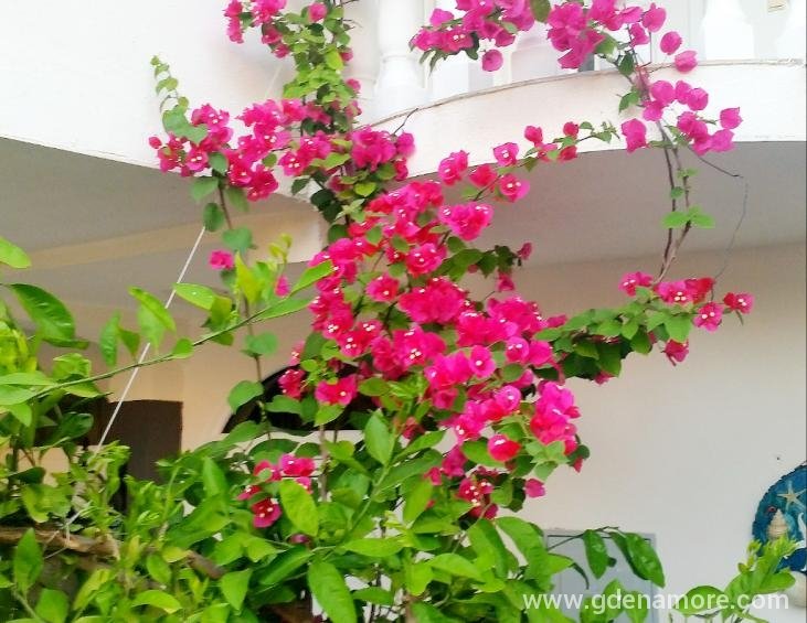 PhotoEditor_20190701_110803002