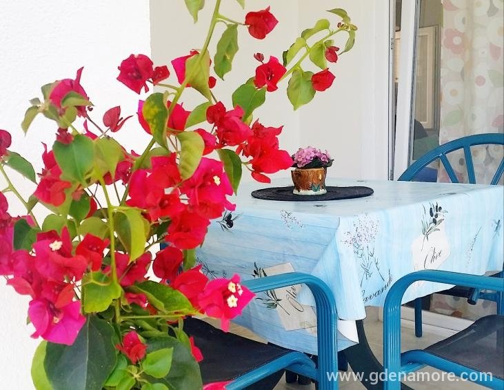 PhotoEditor_20190701_180537370