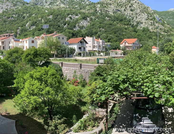 61C54F89-06DA-4CC9-AD94-68FBFDE55820