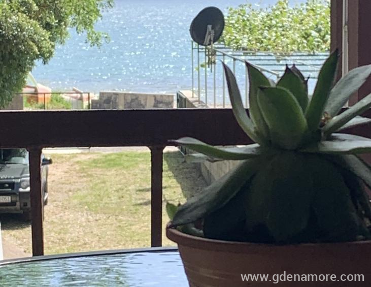 D4633385-7B9A-4AEE-ACBA-8F24CA044393