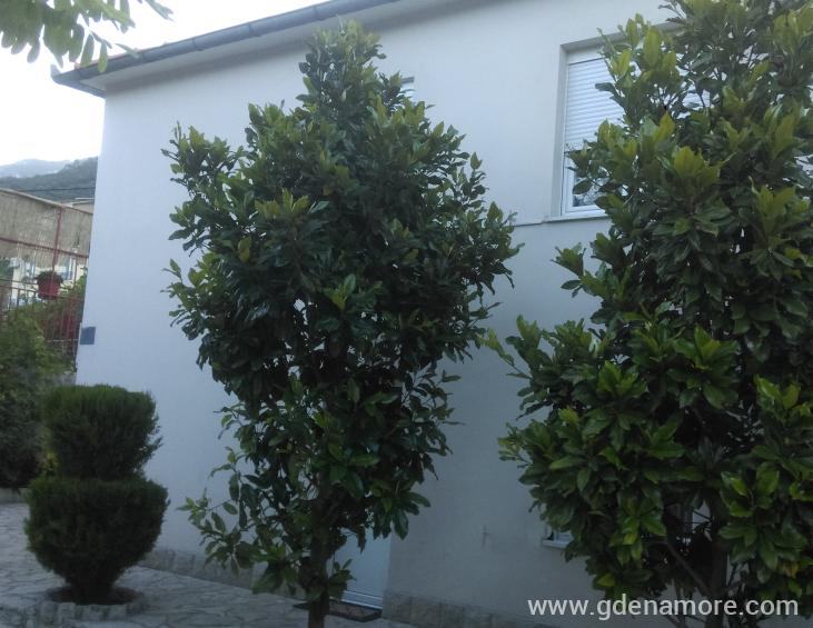 10.Izgled Apartments Popovic 2021g