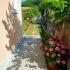 Appartements Rasovic Kumbor, , logement privé à Kumbor, Monténégro - IMG_20210620_093707