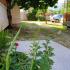 Apartmaji Rašović Kumbor, , zasebne nastanitve v mestu Kumbor, Črna gora - IMG_20210620_094105_1