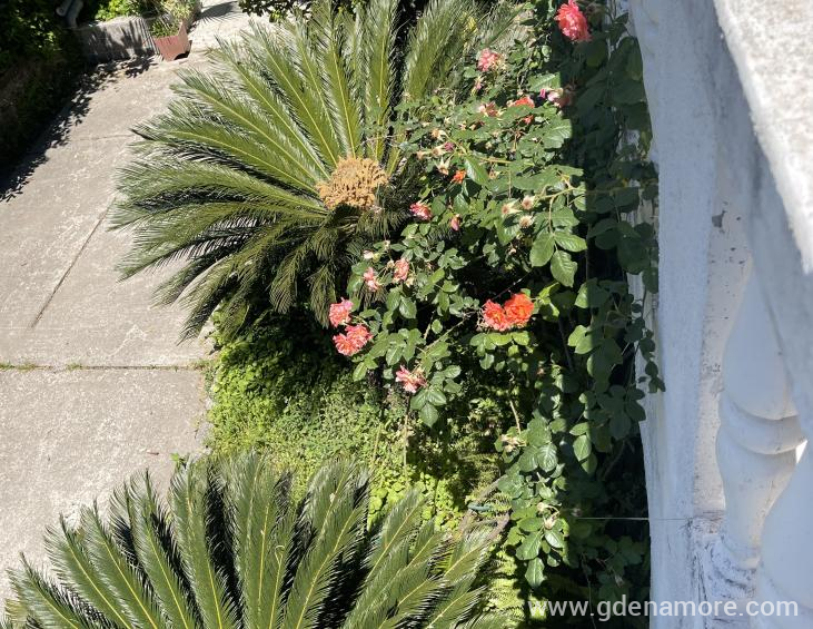 59642839-A9D5-40BA-A2C1-FDCC3F9EC9C5