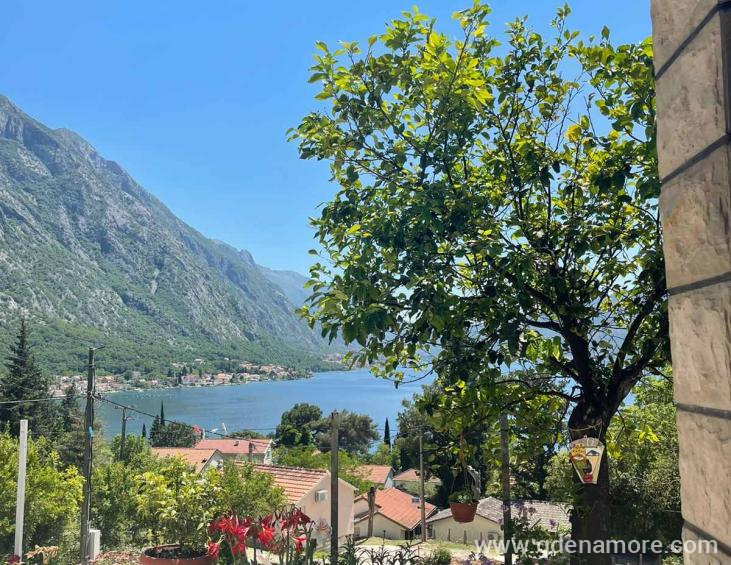 viber_image_2022-06-26_15-23-05-377