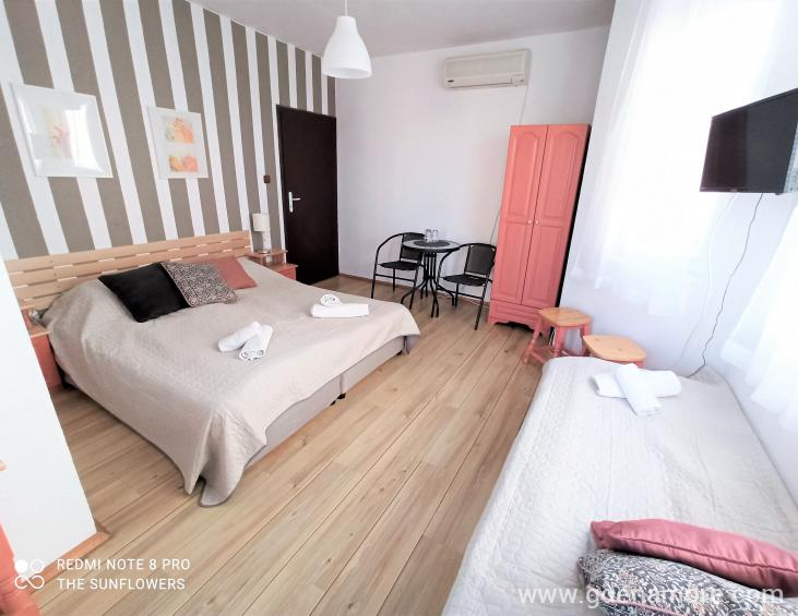 IMG_20220122_104903 (2)