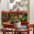 Appartements confortables au centre de Tivat, , logement privé à Tivat, Monténégro - 344A4325
