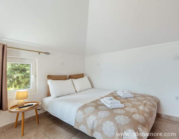 FB_IMG_1677616437270