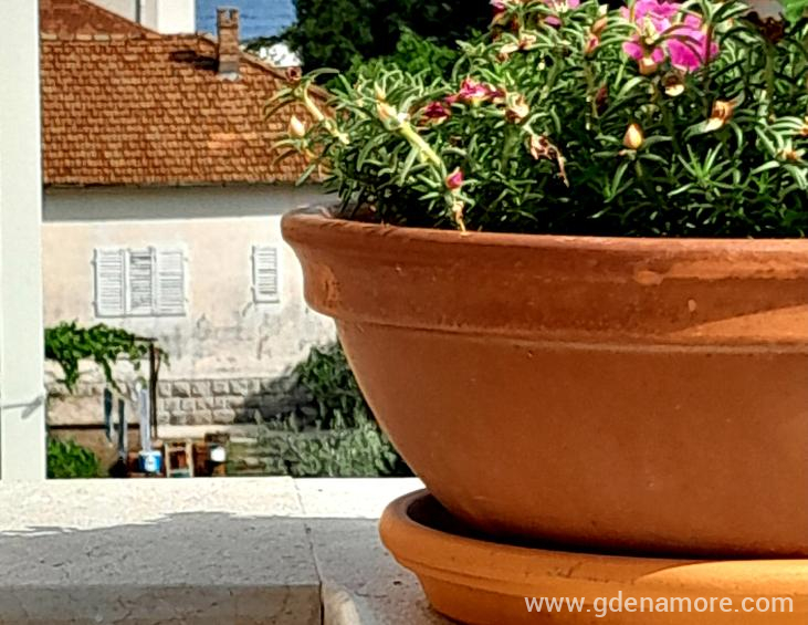 20240630_162945 20240630_162945