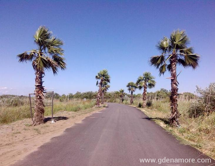 ba08ba87-df8e-43e3-b775-6119468c5b14