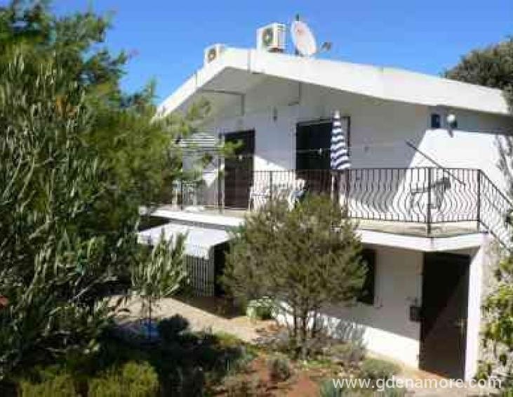 Apartmani   Roman