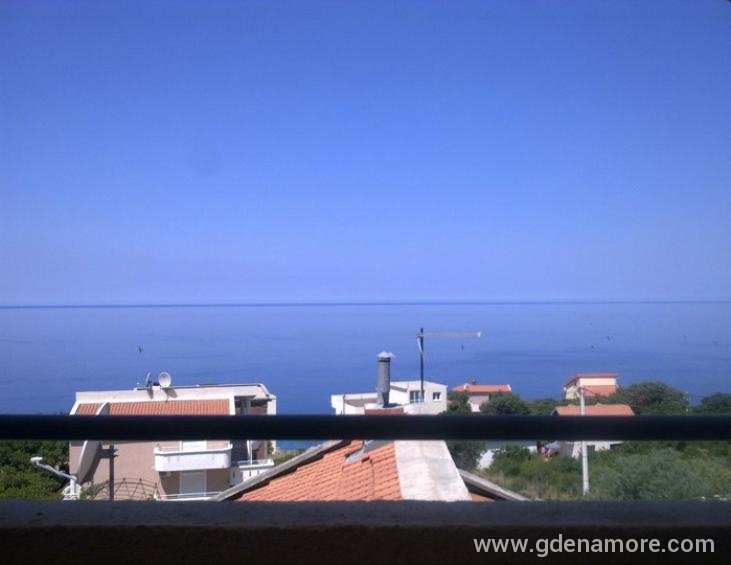Pogled
