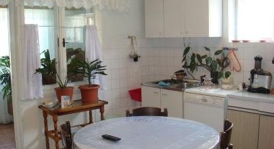 Apartamentos tradicionales Marija en Ugljan, alojamiento privado en Ugljan, Croacia