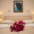THALASSA APARTMENTS, alloggi privati a Lefkada, Grecia - STUDIO 2 BEDROOM