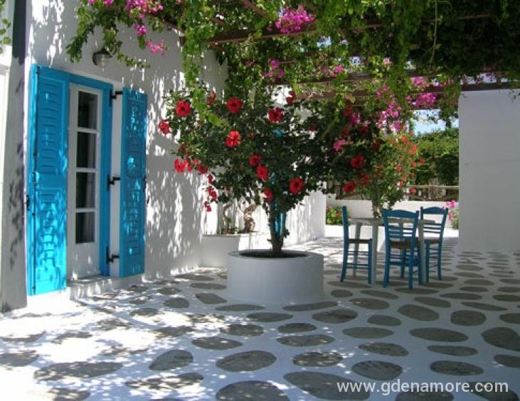 a courtyard of double studio