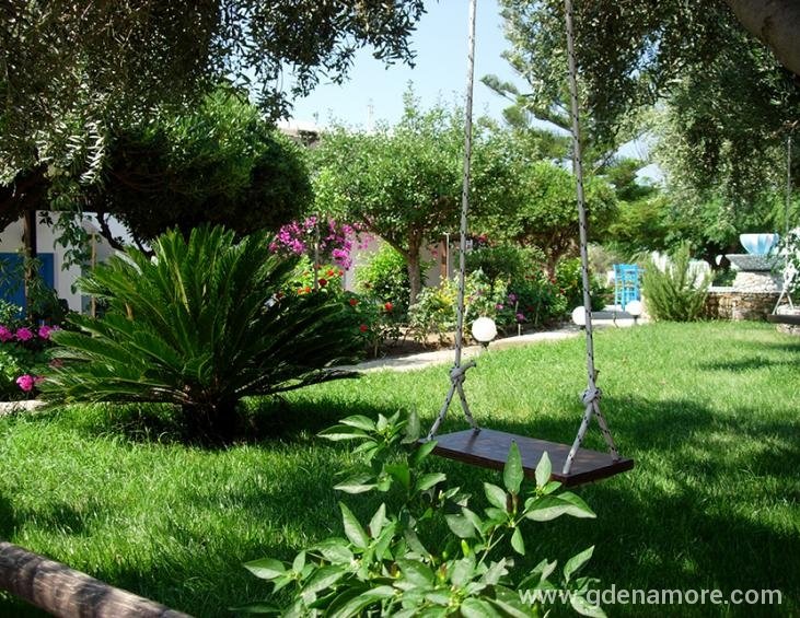 swing in the garden