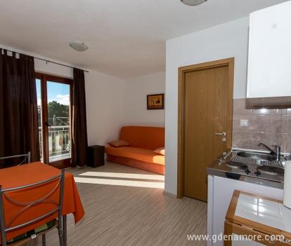 Apartments Barisic, private accommodation in city Brodarica, Croatia