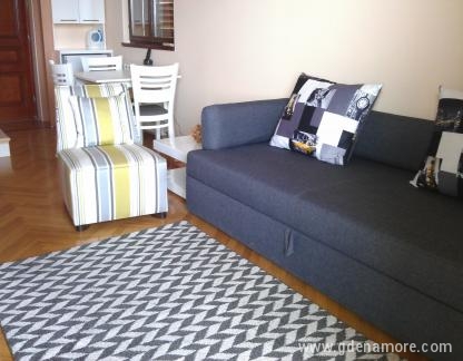 Apartman Fortunela, alojamiento privado en Herceg Novi, Montenegro