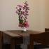 Appartement VITANOV, logement privé à Vini&scaron;će, Croatie