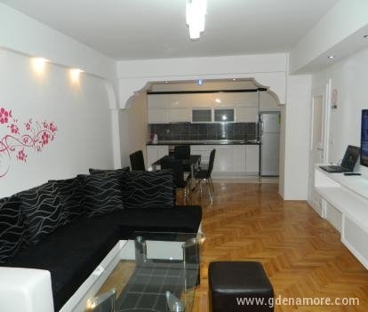 Apartman,,Exclusive"-50m od Jezera i Glavni trg!!, private accommodation in city Ohrid, Macedonia