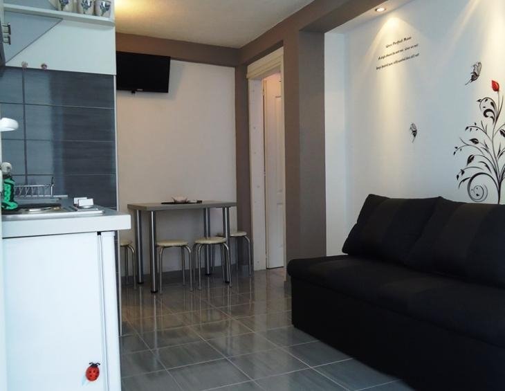 Apartman br.1