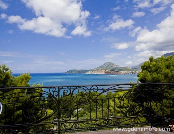 Pogled