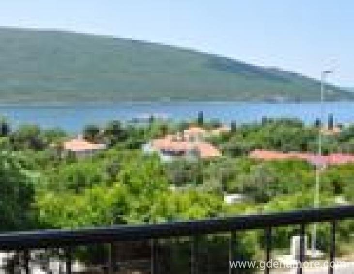 Pogled