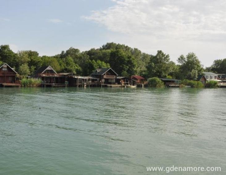 Pogled