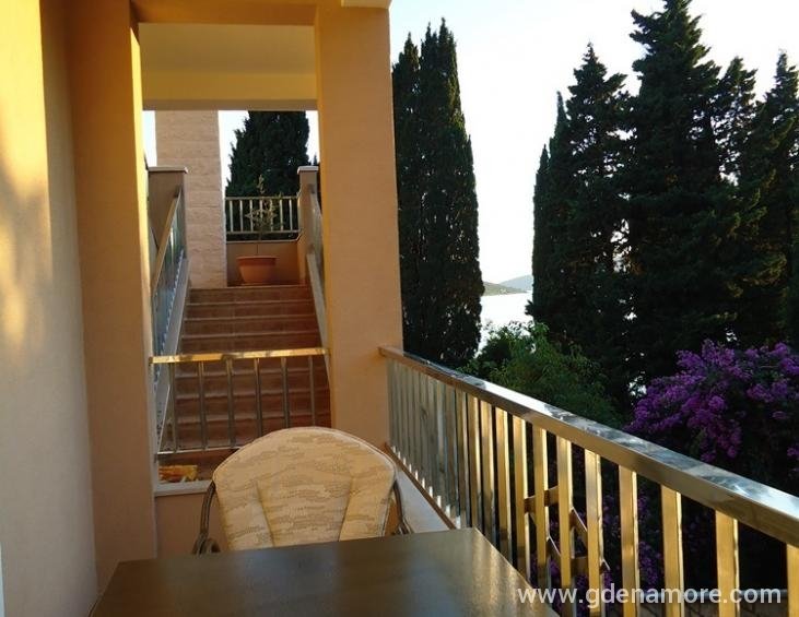 Apartman br.1