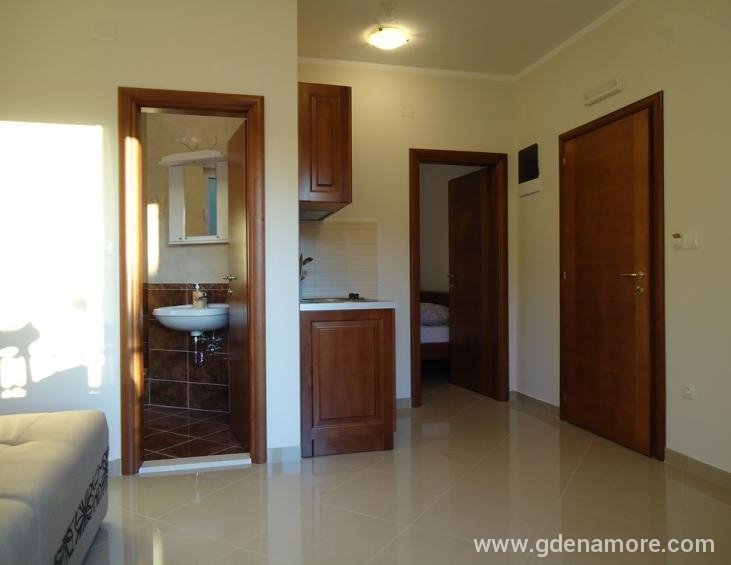 Apartman br.1