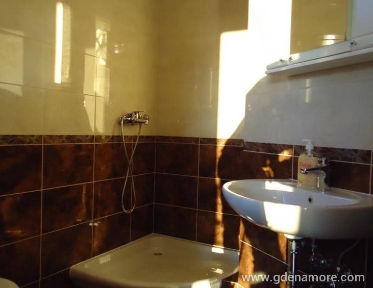 Apartman br.5