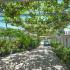 Apartmani Petkovic&amp;#34;Green Oasis&amp;#34;, частни квартири в града Budva, Черна Гора