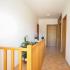 Apartmani Petkovic&amp;#34;Green Oasis&amp;#34;, частни квартири в града Budva, Черна Гора