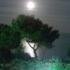 Villa Oasis, alojamiento privado en Halkidiki, Grecia - full moon