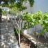 APARTMANI KOPITOVIC, private accommodation in city Petrovac, Montenegro