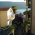 Appartamenti Herceg Novi Topla, alloggi privati a Herceg Novi, Montenegro