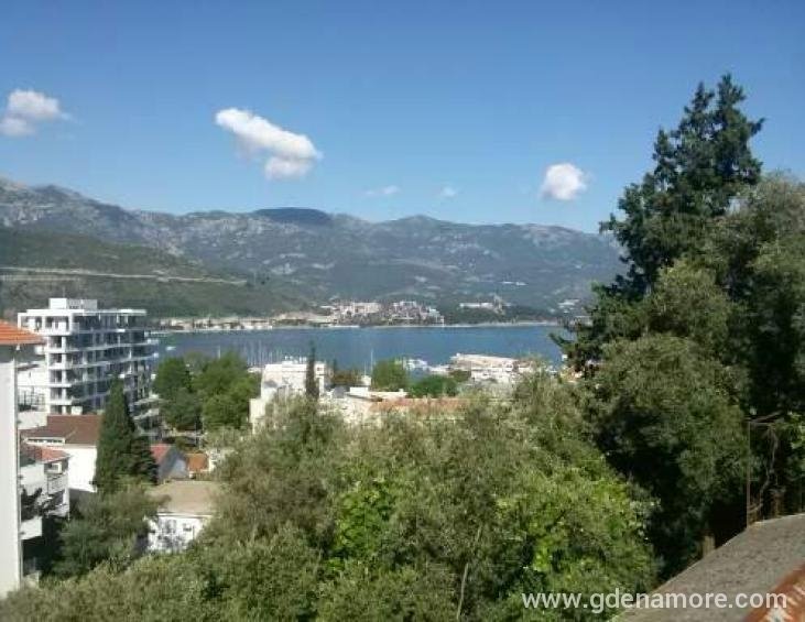 Pogled