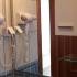 Tazex Apartments, zasebne nastanitve v mestu Herceg Novi, Črna gora