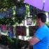 Guest House Igalo, private accommodation in city Igalo, Montenegro - Izlozba slika / Art exhibition