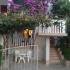 Apartamentos Mitrovic Dobre Vode, alojamiento privado en Dobre Vode, Montenegro