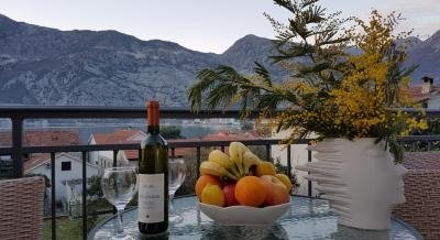 Apartment More - Risan, private accommodation in city Risan, Montenegro