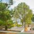 Estudios Alegr&iacute;a, alojamiento privado en Thassos, Grecia