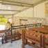 Estudios Alegr&iacute;a, alojamiento privado en Thassos, Grecia