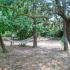Bianca Villa Studios, private accommodation in city Possidi, Greece
