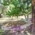 Bianca Villa Studios, private accommodation in city Possidi, Greece