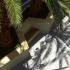 Margarita Sea Siide Hotel, private accommodation in city Kallithea, Greece