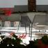 Margarita Sea Siide Hotel, private accommodation in city Kallithea, Greece