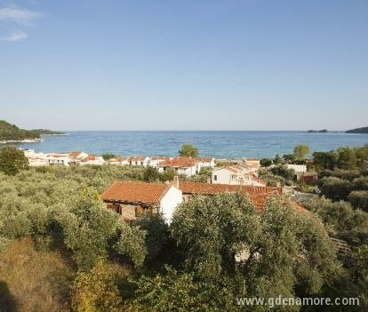 Rani Thassos Apartments, private accommodation in city Thassos, Greece